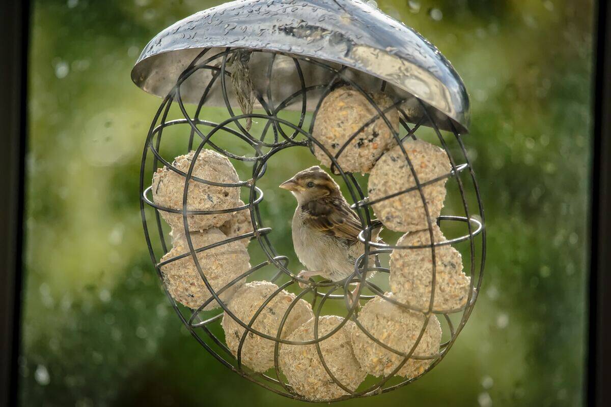 ajeet-panesar-Z9p9eV9_OY8-unsplash