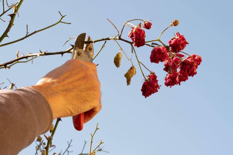 ales-krivec-OgHW4SRdth8-unsplash