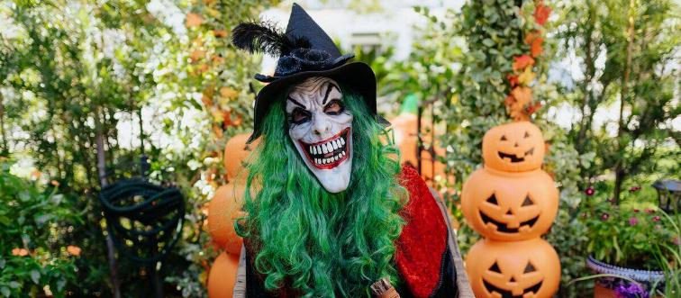 person dressed as a scary witch for halloween