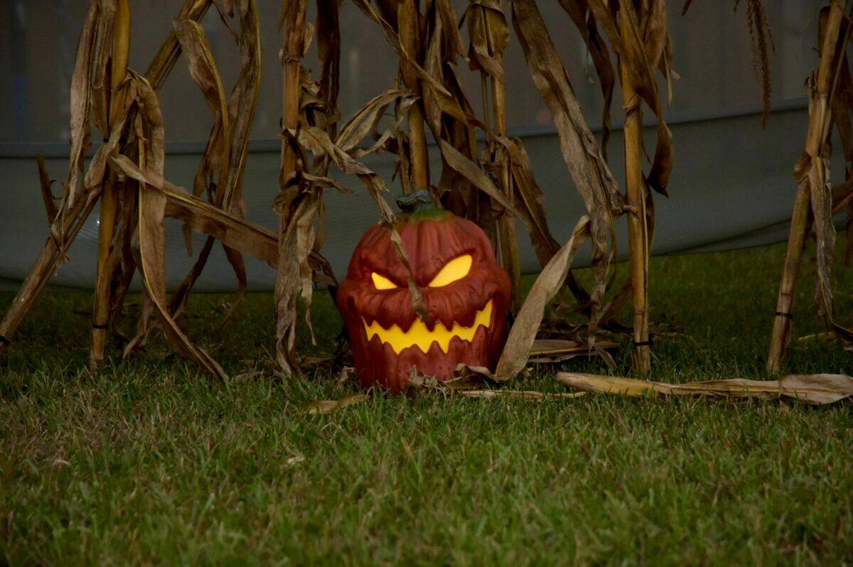 spooky jack-o-lantern halloween