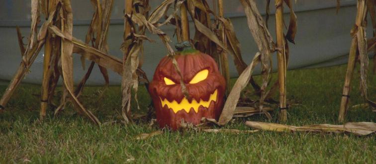 spooky jack-o-lantern halloween