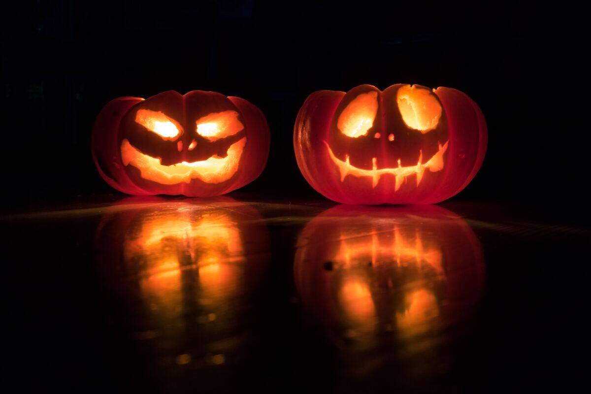 jack-o-lanterns for halloween