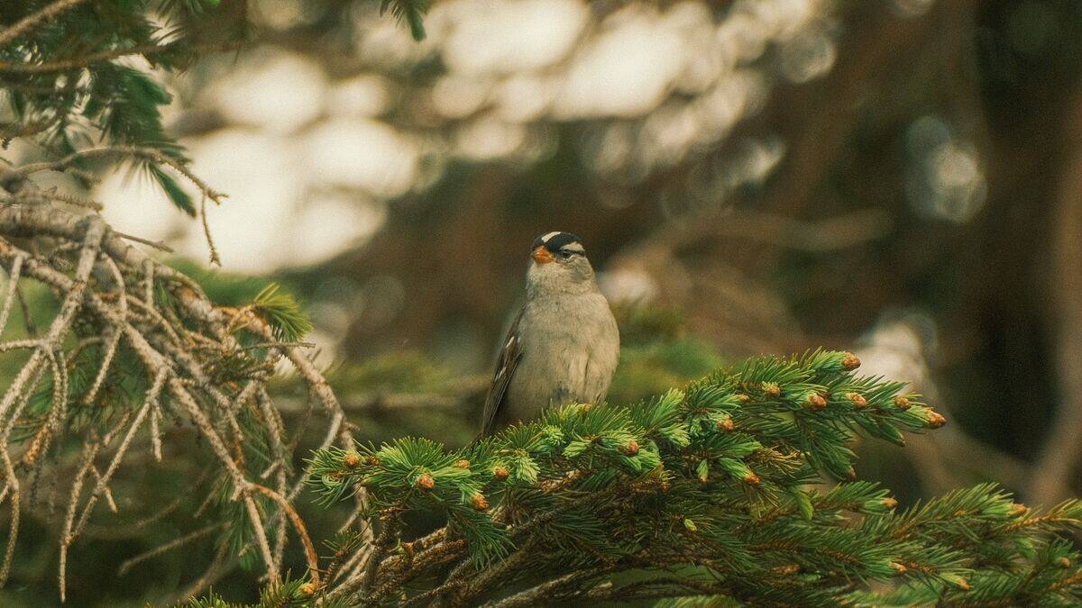 maximus-meadowcroft-5qLOlWolDEc-unsplash