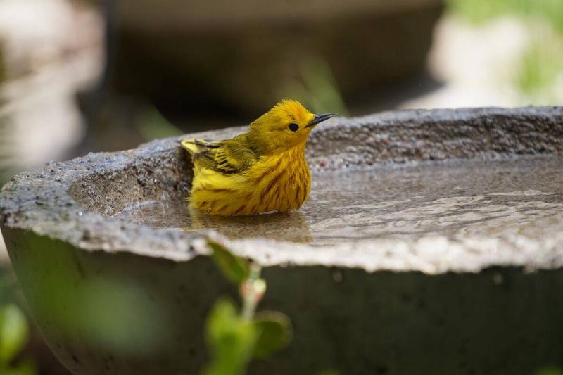 timothy-kindrachuk-5mwJ7i7v1w0-unsplash