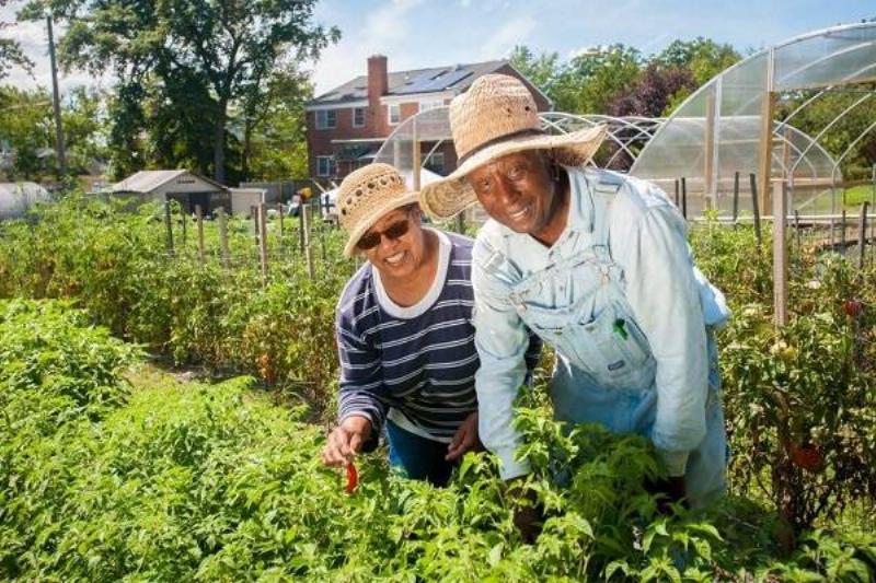 15 Renov Estados EEUU 31 15 Renov Estados EEUU 31