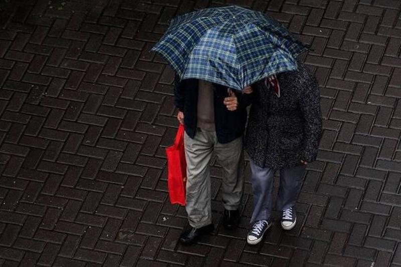 15 Renov Estados EEUU 36 15 Renov Estados EEUU 36