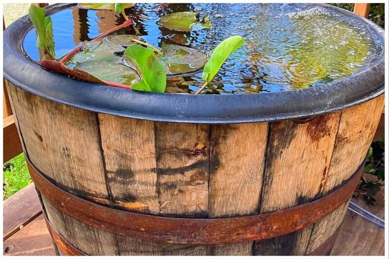 Barrel ponds Barrel ponds