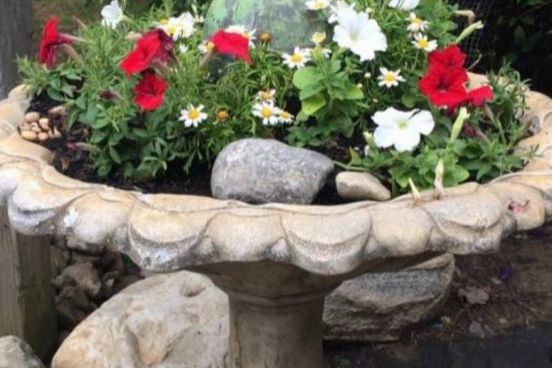Birdbath planters Birdbath planters