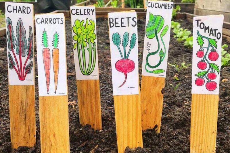DIY Veggie and Herb Garden Stakes_Markers DIY Veggie and Herb Garden Stakes_Markers