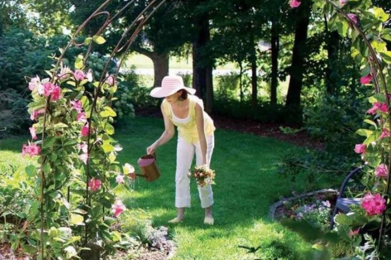 Lawns and gardens Lawns and gardens