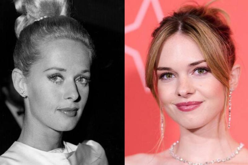 MSN Syn - 2023-10-31T140248.225