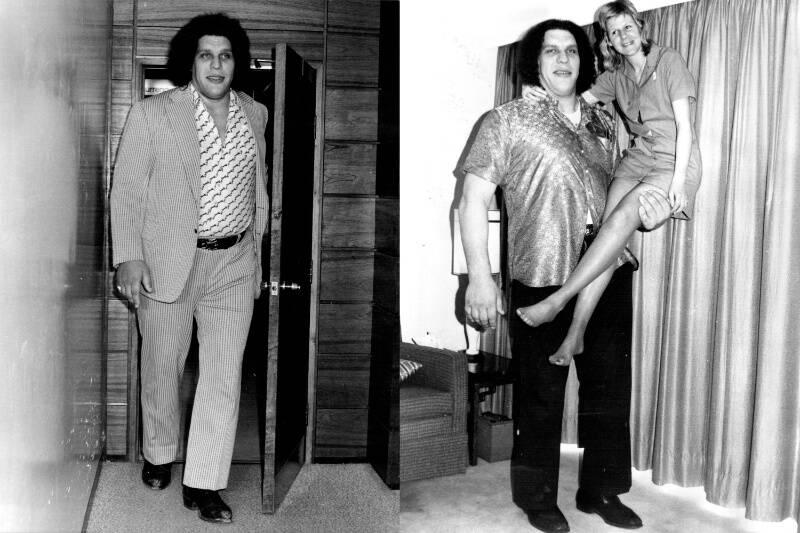 MixCollage-21-Nov-2023-07-36-AM-6531