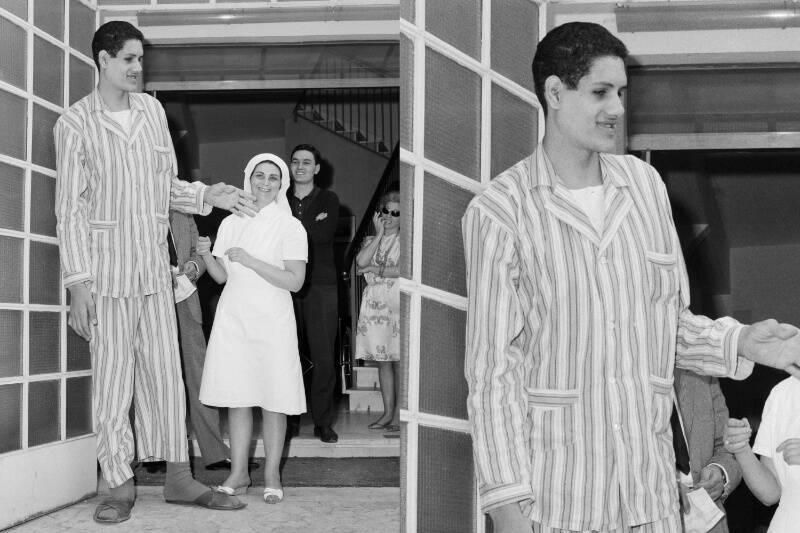 MixCollage-21-Nov-2023-07-43-AM-9660