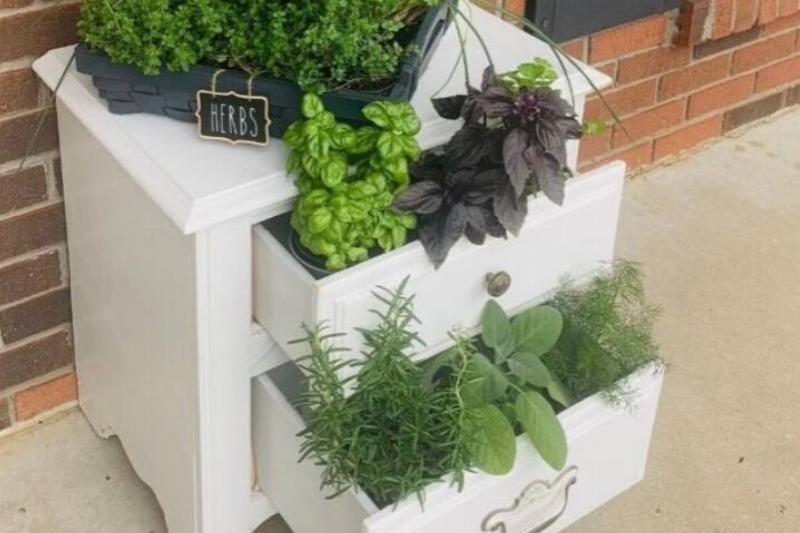 Plant stands Plant stands