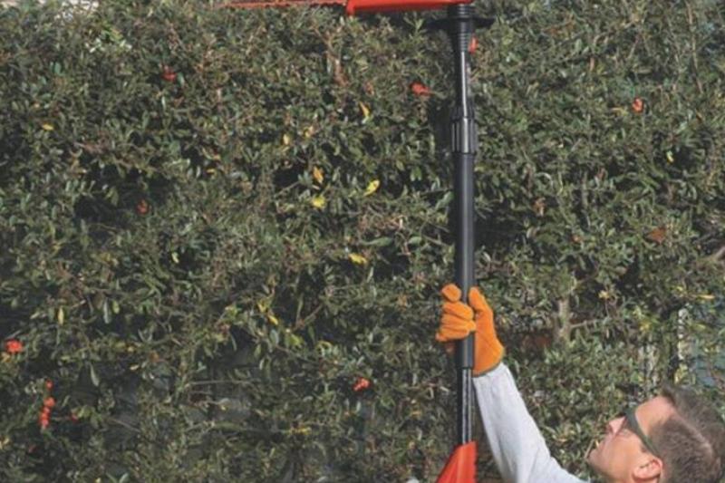 Pruning Pruning