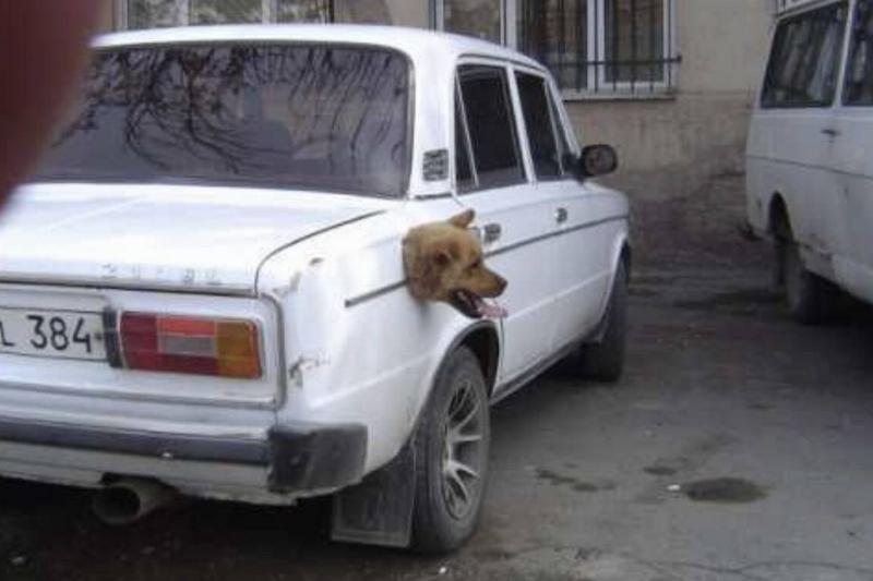 Screen Shot 2023-11-16 at 1.20.07 PM