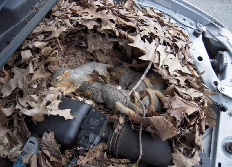 Screen Shot 2023-11-16 at 1.21.52 PM