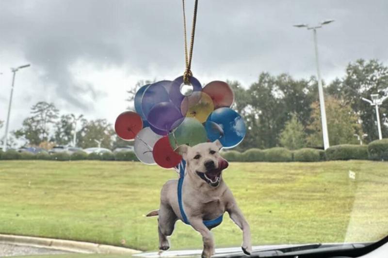 Screen Shot 2023-11-16 at 3.06.53 PM