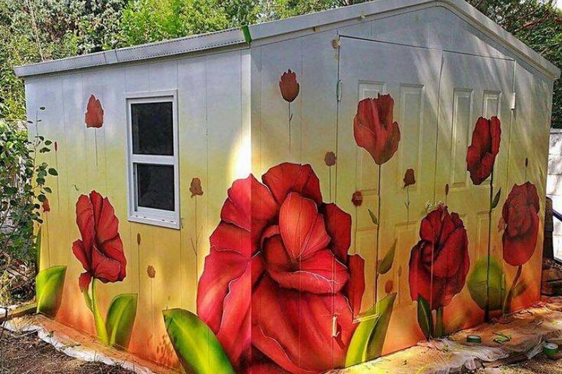 Shed Shed