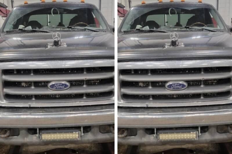 Untitled design (86)