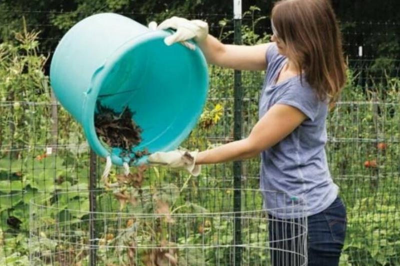 compost compost