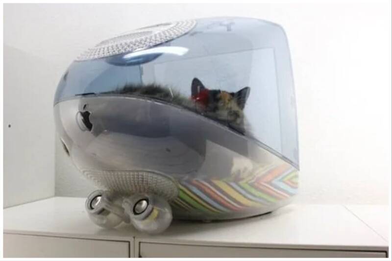 Cat bed from computer