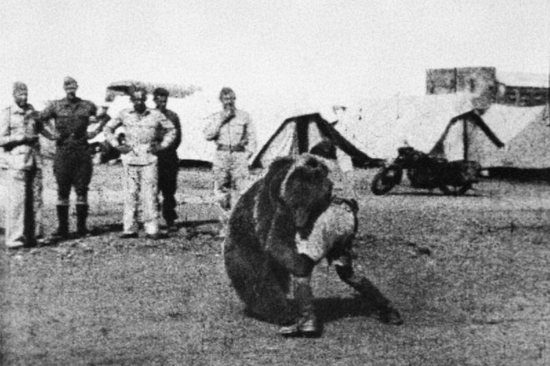 Wojtek wrestling
