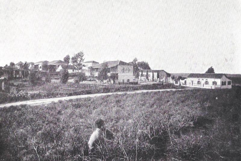 gedera