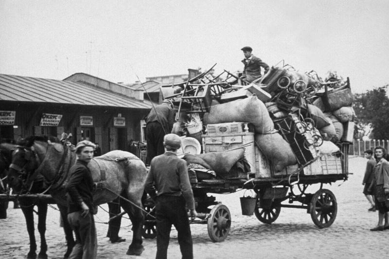 Polish Refugees