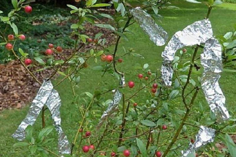 04 Renov Aluminio 33