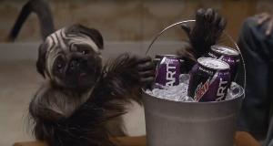 Super Bowl Commercials That Stole The Spotlight And The Ones That Missed The Mark