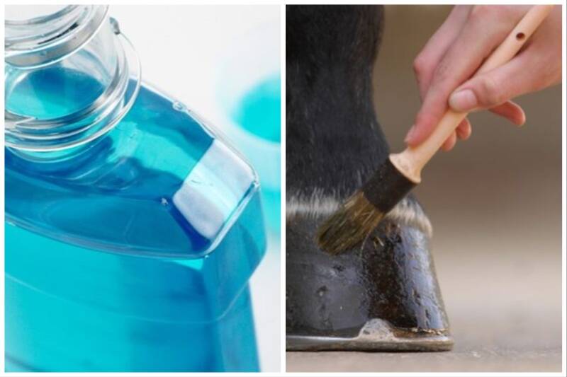 Mouthwash hacks