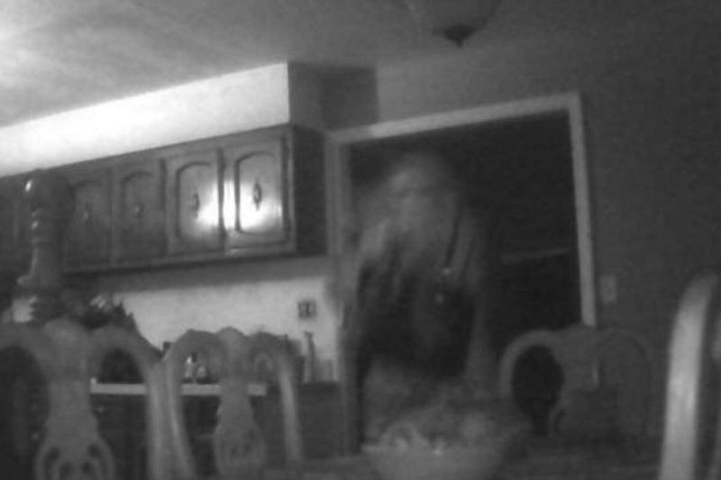 Screen Shot 2024-01-04 at 10.53.16 AM