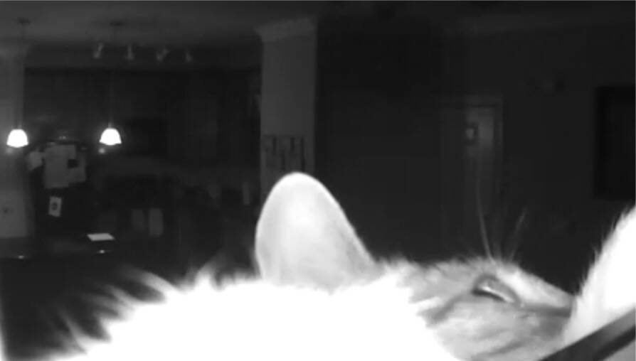 Screen Shot 2024-01-04 at 11.29.53 AM