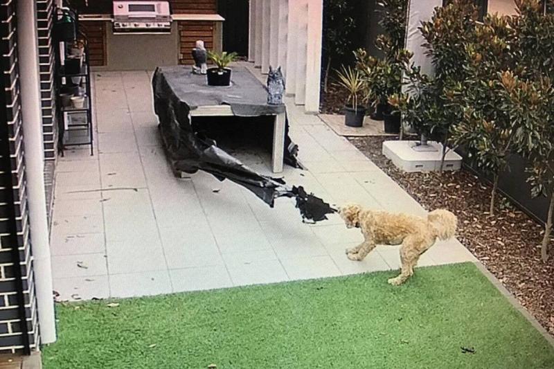 Screen Shot 2024-01-04 at 2.05.07 PM