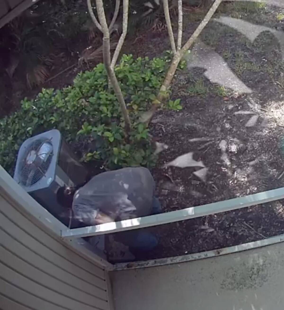 Screen Shot 2024-01-04 at 2.53.07 PM