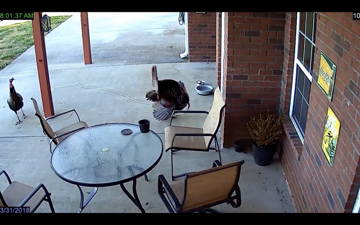 Screen Shot 2024-01-04 at 3.12.53 PM