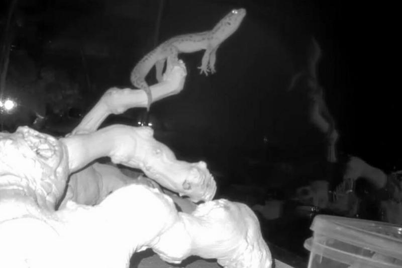 Screen Shot 2024-01-04 at 4.46.08 PM