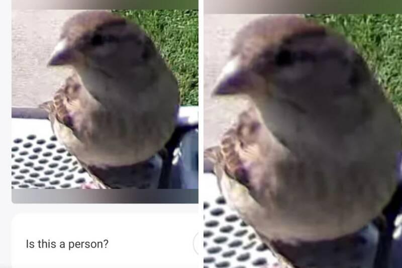 Untitled design - 2024-01-04T132538.324