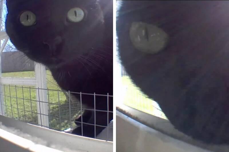 Untitled design - 2024-01-04T153827.364