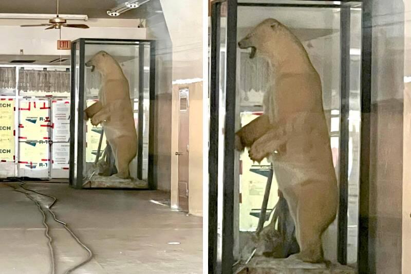 Untitled design - 2024-01-16T141445.069