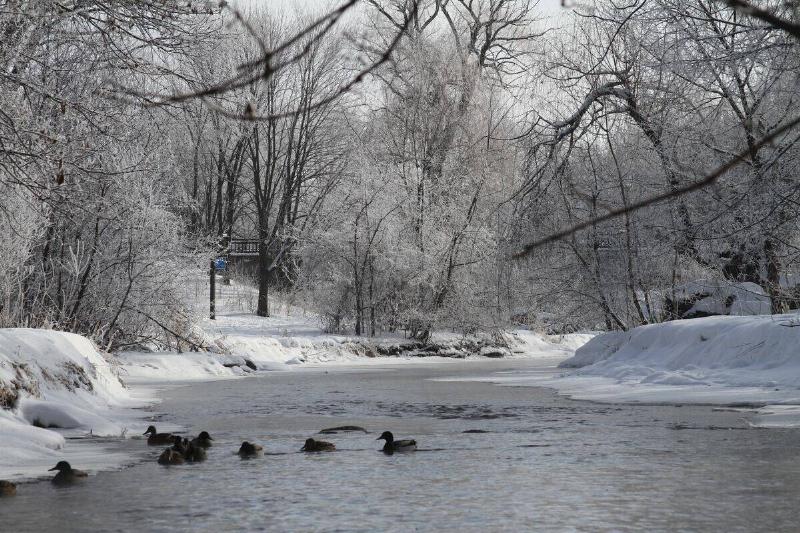 julie-louge-n3KN-kYjUpg-unsplash