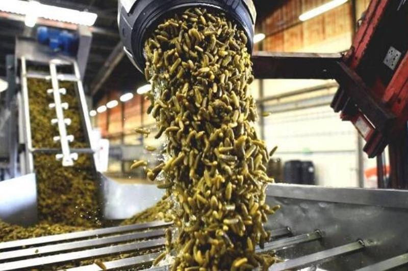 09 Renov Comidas Sacian 22 09 Renov Comidas Sacian 22