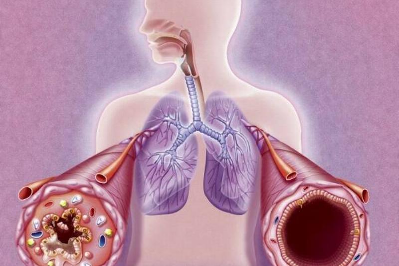 12 Renov Aloe Vera 29 12 Renov Aloe Vera 29