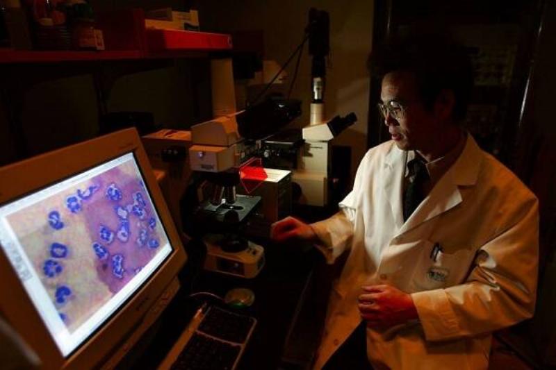 1 Renov Jamaica Flor 29 1 Renov Jamaica Flor 29