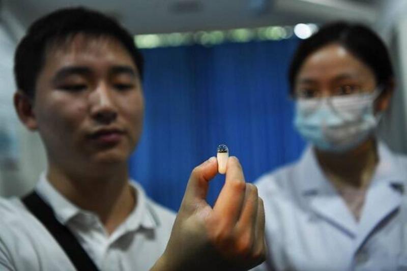 1 Renov Jamaica Flor 34 1 Renov Jamaica Flor 34