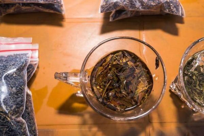 10 Renov Te Verde 24 10 Renov Te Verde 24