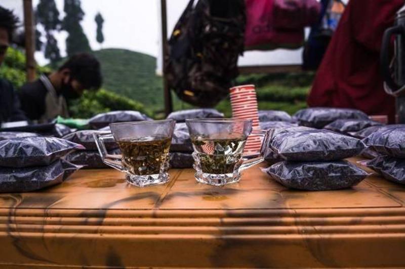 10 Renov Te Verde 29 10 Renov Te Verde 29