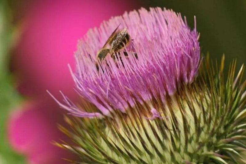 15 Renov Plantas 32 15 Renov Plantas 32