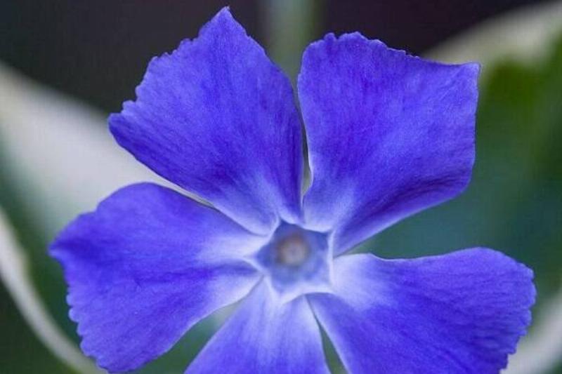 15 Renov Plantas 34 15 Renov Plantas 34